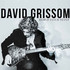 David Grissom, How It Feels To Fly mp3