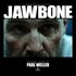 Paul Weller, Jawbone (Music From The Film) mp3