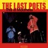 The Last Poets, This Is Madness mp3