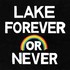 Lake, Forever Or Never mp3