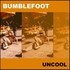 Bumblefoot, Uncool mp3