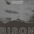 Bison B.C., You Are Not The Ocean You Are The Patient mp3