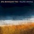 Emil Brandqvist Trio, Falling Crystals mp3