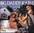 Big Daddy Kane, It's A Big Daddy Thing mp3