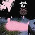 Ariel Pink, Dedicated To Bobby Jameson mp3