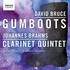 Julian Bliss / Carducci Quartet, David Bruce: Gumboots - Johannes Brahms: Clarinet Quintet mp3