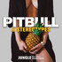 Pitbull & Stereotypes, Jungle (Feat. E-40 & Abraham Mateo) mp3