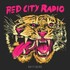 Red City Radio, SkyTigers mp3