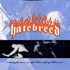 Hatebreed, Satisfaction Is the Death of Desire mp3