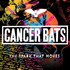 Cancer Bats, The Spark That Moves mp3