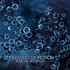 Steve Roach, Molecules of Motion mp3