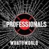The Professionals, What In The World mp3
