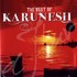 Karunesh, The Best Of Karunesh mp3