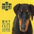 Big Country, Why the Long Face (Deluxe Edition) mp3