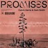 Calvin Harris & Sam Smith, Promises