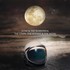 Echo & The Bunnymen, The Stars, the Oceans & the Moon mp3