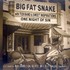 Big Fat Snake, One Night Of Sin mp3