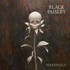 Black Paisley, Perennials mp3