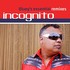 Incognito, Bluey's Essential Remixes mp3
