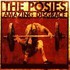 The Posies, Amazing Disgrace mp3