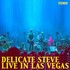 Delicate Steve, Live in Las Vegas mp3