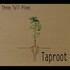 Three Tall Pines, Taproot mp3