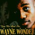 Wayne Wonder, You, Me And She mp3