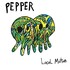 Pepper, Local Motion mp3