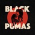 Black Pumas, Black Pumas mp3