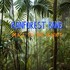 Rainforest Band, Peace to the Planet mp3