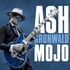 Ash Grunwald, Mojo mp3