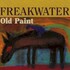 Freakwater, Old Paint mp3
