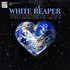 White Reaper, You Deserve Love mp3
