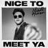 Niall Horan, Nice To Meet Ya mp3