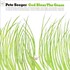 Pete Seeger, God Bless The Grass mp3