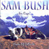 Sam Bush, Ice Caps: Peaks Of Telluride mp3
