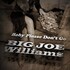 Big Joe Williams, Baby Please Don't Go mp3