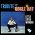 Stevie Wonder, Tribute To Uncle Ray mp3