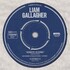 Liam Gallagher, Acoustic Sessions mp3