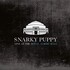 Snarky Puppy, Live At The Royal Albert Hall mp3