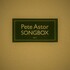 Pete Astor, Songbox mp3