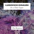 Ludovico Einaudi, In a Time Lapse: The Remixes mp3