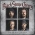 Black Stone Cherry, The Human Condition mp3