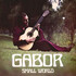 Gabor Szabo, Small World mp3