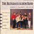 The Bluegrass Album Band, The Bluegrass Album, Volume 5: Sweet Sunny South mp3