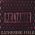 Gathering Field, Reliance mp3