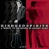 Various Artists, Kindred Spirits: A Tribute To The Songs Of Johnny Cash mp3