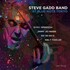 Steve Gadd Band, At Blue Note Tokyo mp3