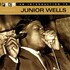 Junior Wells, An Introduction To Junior Wells mp3