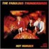 The Fabulous Thunderbirds, Hot Number mp3